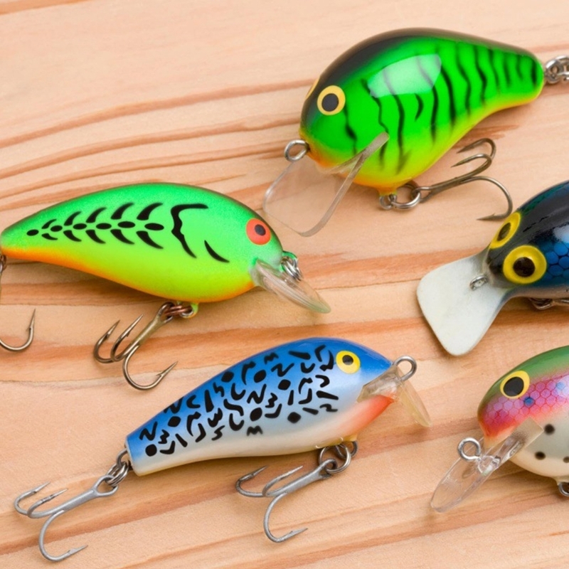 6 mẫu tranh vẽ mồi câu cá để p - đánh giá và giá Fishing Equipment And Accessories